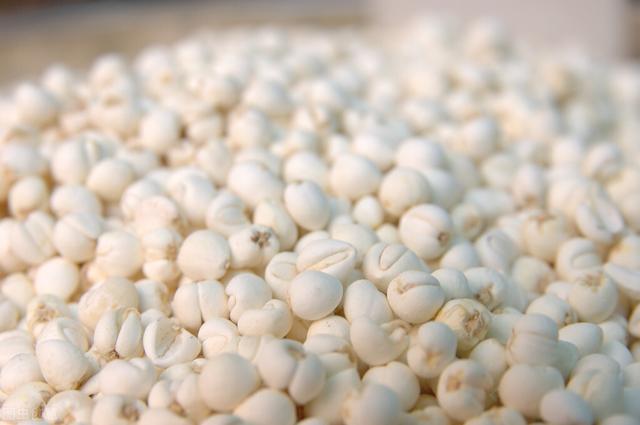 常用中药川贝母的功能作用