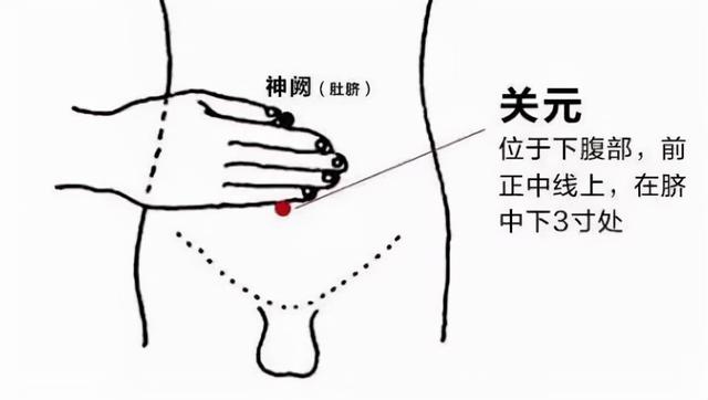 九種體質你到底屬于哪一種，又該怎樣調理？中醫陳瑩告訴您
