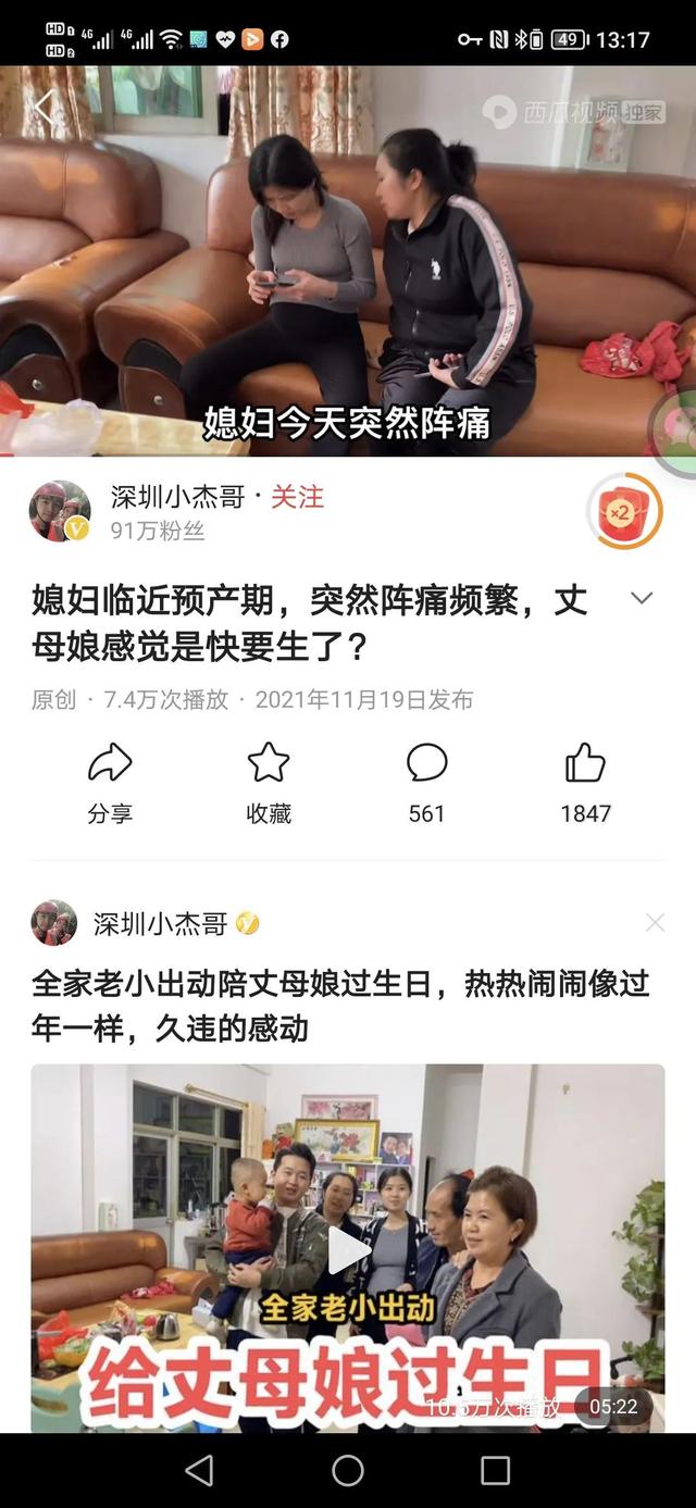 小海燕生宝宝了