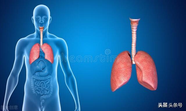秋燥太可怕，药师来帮忙