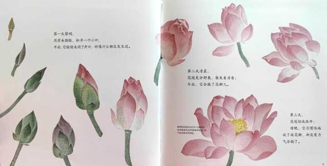 如何给孩子挑选接地气又唯美的植物绘本？教你实用三招