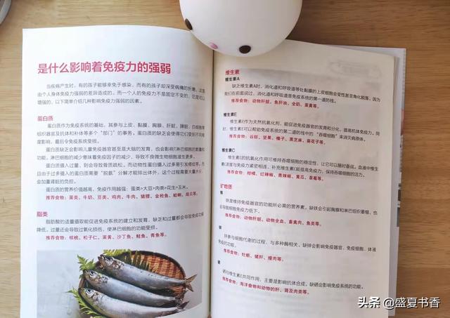 早起20分钟给孩子做早餐，丰盛营养，孩子再也不说我做饭难吃了