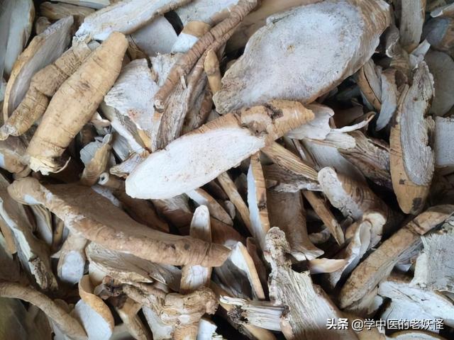 每天学习一味中药——隔山消