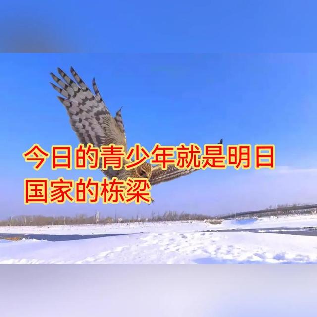 谁在替你教育孩子