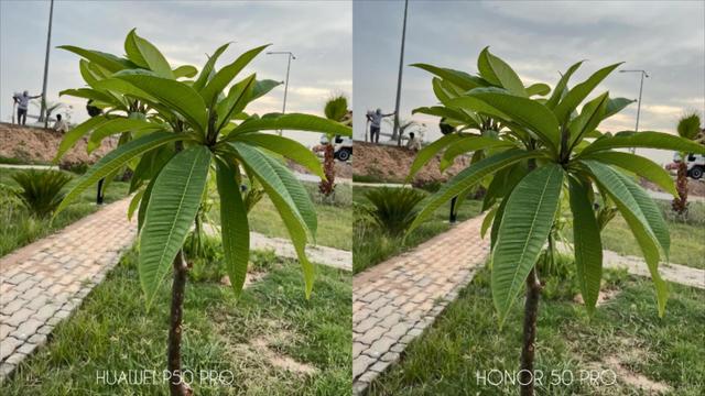 華為P50Pro和榮耀50Pro照片實拍：5000萬和1億鏡頭區別好大