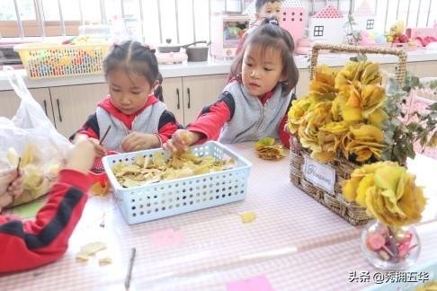 五华三幼携西翥二幼开展银杏林探秋活动