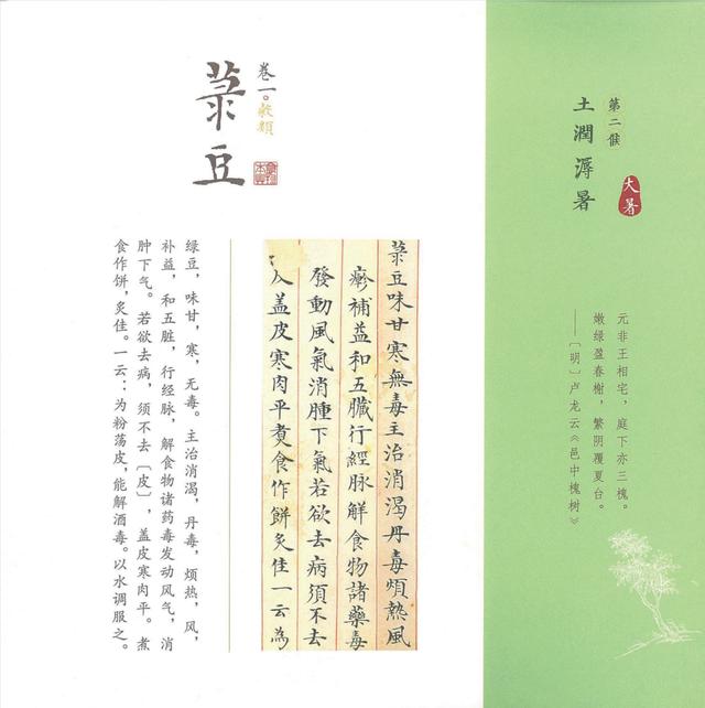 康养 天灾来势汹汹 用它保护自己 全网搜