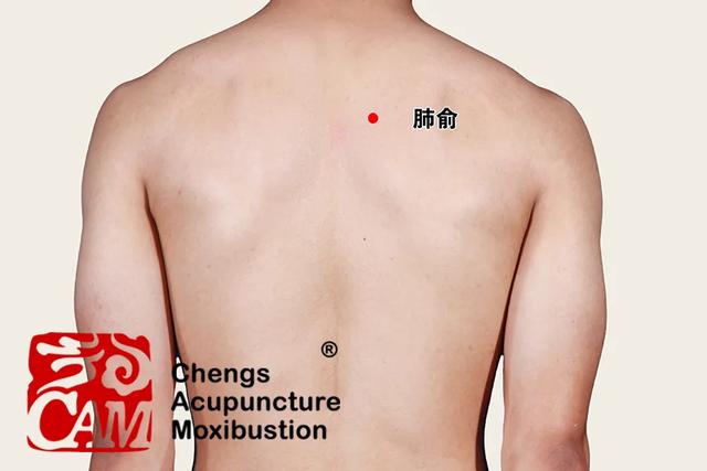 心脑血管疾病进入高发期，养生防病艾灸12背俞穴