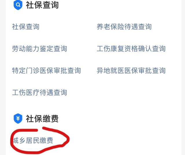 2022年的城乡医疗保险可以网上缴费了