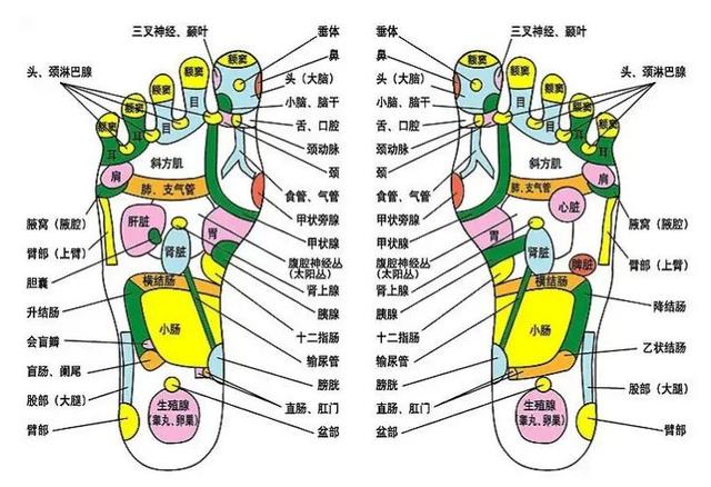 如果你只知道核桃补脑，这几个功能却不知道，那就太可惜了