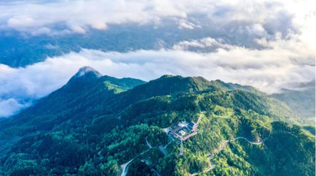 鸟声是云山悠然的种子//邹三龙