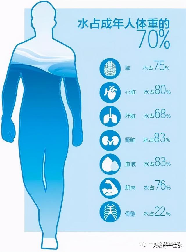 人为什么要喝水、水对人的重要性