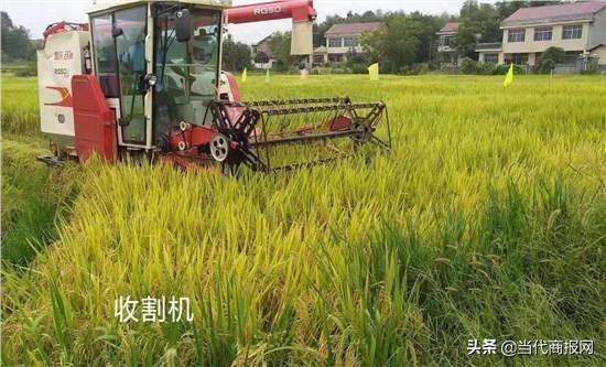 汉寿农业现代化示范区