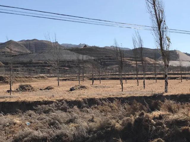 文章图片33