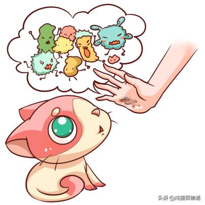 小猫很脏怎么办