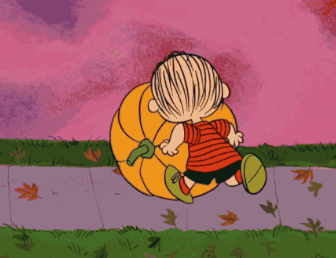 绘本馆万圣节怎么过？10款主题活动打造满分节日氛围