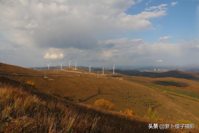 一路向北草原自駕行4：柳樹溝