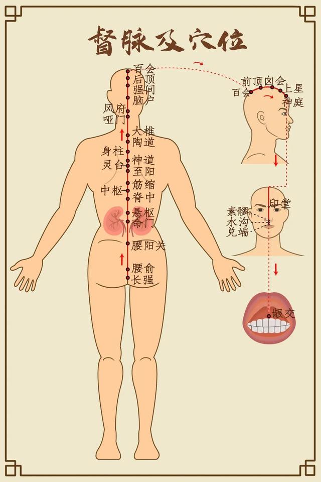 学经络快速入门法