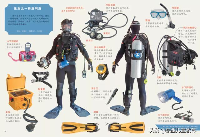 重视这一类阅读，孩子的阅读就有底气了