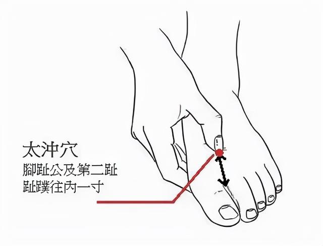 九種體質你到底屬于哪一種，又該怎樣調理？中醫陳瑩告訴您