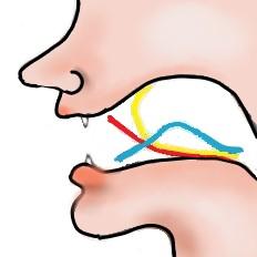 新生儿舌系带剪还是不剪？舌系带短有啥危害？
