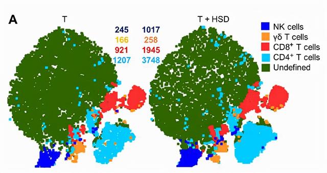 吃错了！少盐不养生？《科学》子刊：高盐饮食抑制肿瘤？怎么回事