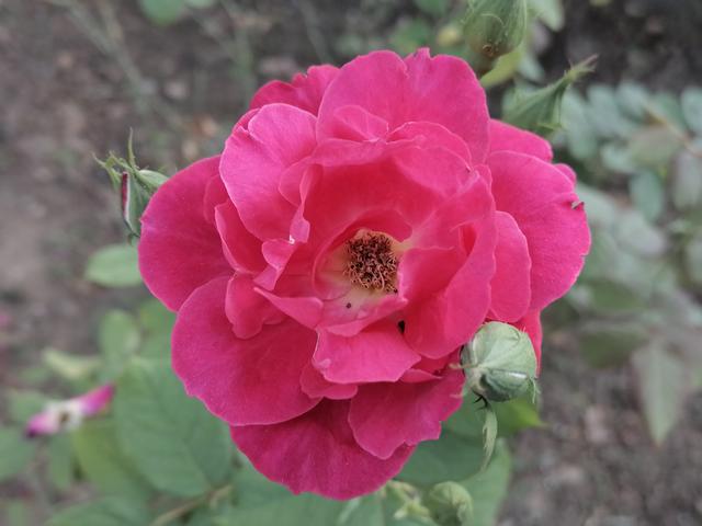 成功不是虚张声势