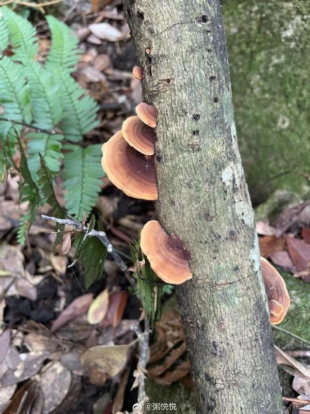 这么辛苦地活着是为了什么？（下）