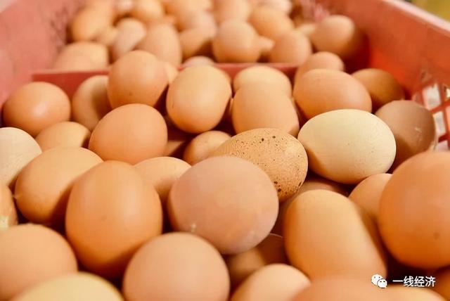 鸡蛋一个月涨20%