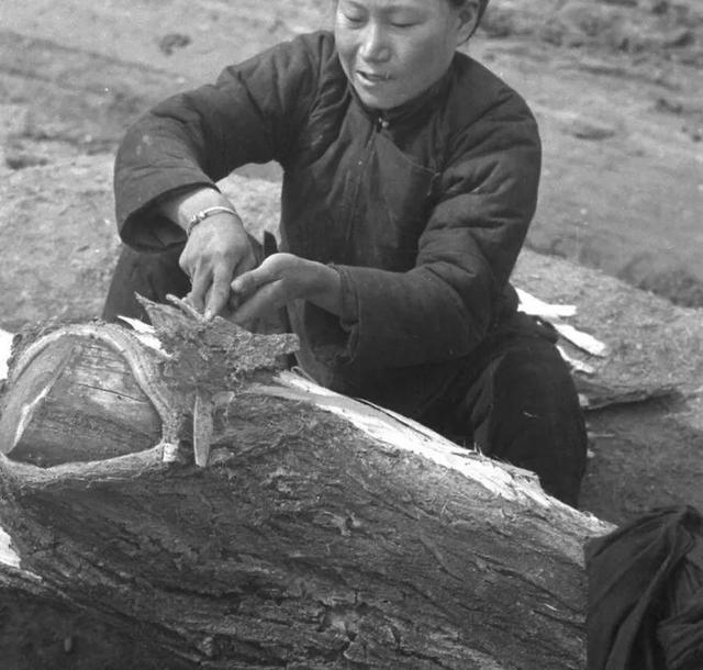 河南大灾旱42年～43年