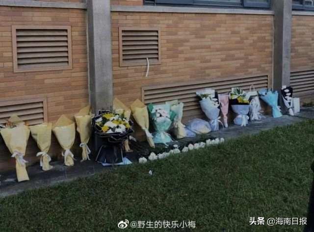 女研究生校内遭碾压身亡！家人：她从小很优秀，中考是全县第一