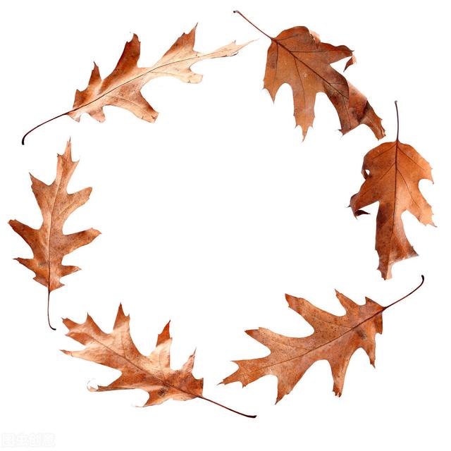 “秋燥”是怎么回事？肝病患者该怎么办？