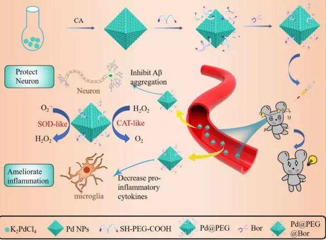 脑科学日报：睡觉也在学习！难怪婴儿学东西速度飞快