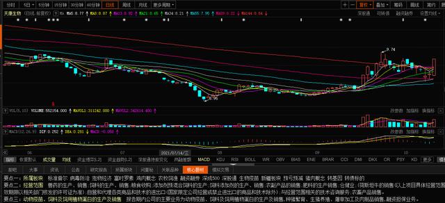 二师兄真的要王者归来了吗？