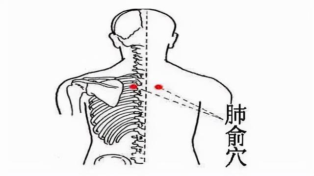 秋风送凉，保养身体可常按揉这几个穴位