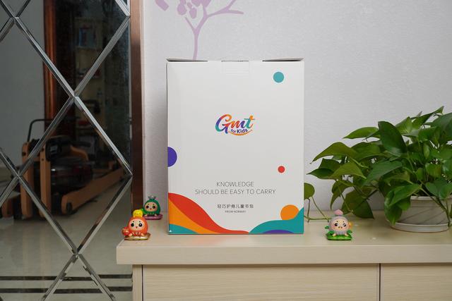 轻松背负，健康成长，给小外甥女的生日礼物——GMT  for  Kids小方包