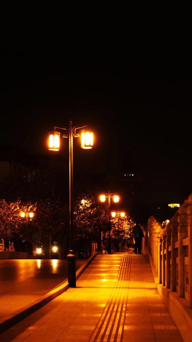 抖音很火的猫壁纸抖音网红星狗壁纸