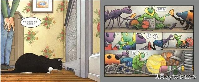 猫咪主题绘本推荐｜和孩子一同打开喵星人的世界