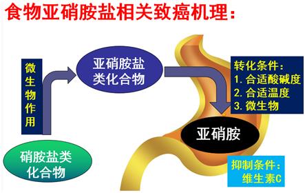 隔夜茶不仅有毒还致癌？这种说法从何而来？隔夜茶到底能不能喝？