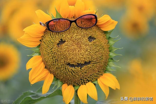 人生没有如果，只有后果和结果；成熟，就是用微笑来面对一切小事