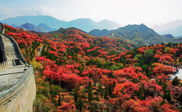 北京一秋季旅行胜地 斑斓彩林宛如油画般美丽 人少景美适合郊游 全网搜