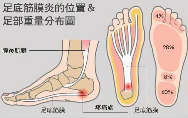 足底按摩真的有用吗