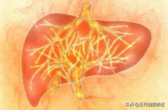 胃有火舌黄，肝有火汗黄，心有火尿黄：人有3黄，是身体阳热过极