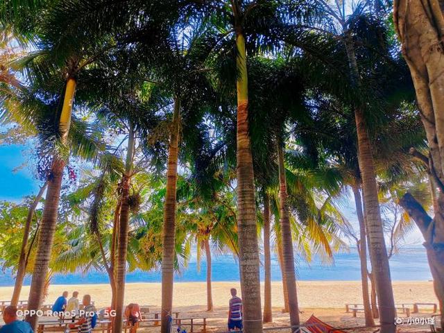 南湾猴岛好玩吗（南湾猴岛值得去吗）