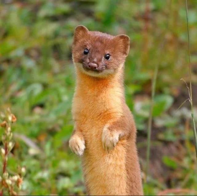 如何教孩子学会独立思考