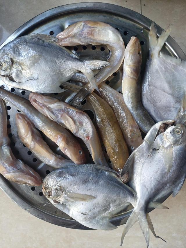 方言札记 煎咸鱼 太阳信息网