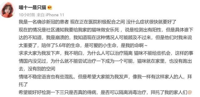 哈尔滨三只猫阳性被安乐死，你怎么看？