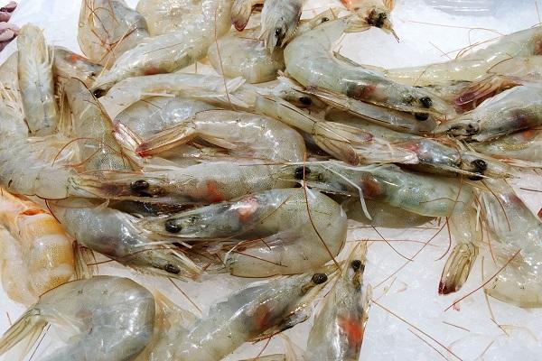 得了糖尿病只能吃素？这3种肉可以适当吃，告别“全素宴”