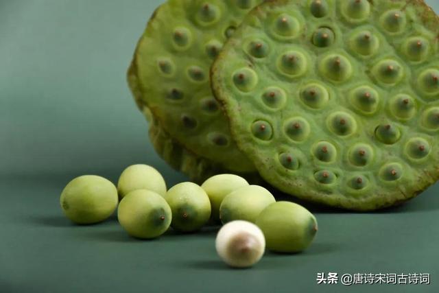 关于夏天的古诗句子（古人的夏天是怎么度过）