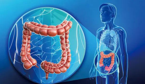 肠易激综合征的诊断标准和中医辨证论治及用方用药